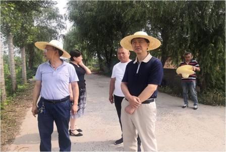 黄书记调研图片-1.jpg