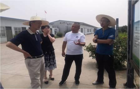 黄书记调研图片-3.jpg